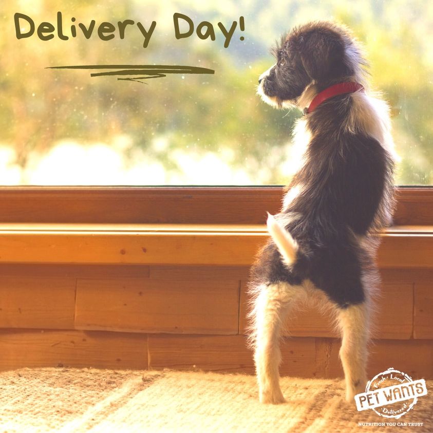 DeliveryDay