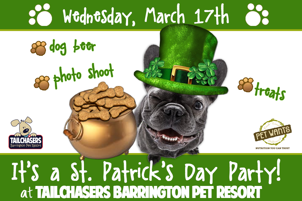StPats-BPR-INvite-Website